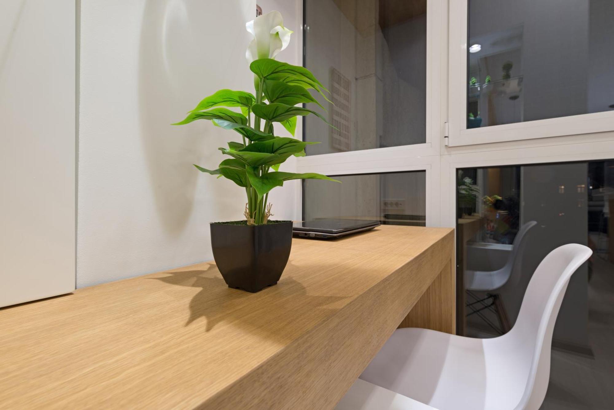 בלגרד Vivio Luxury Apartment מראה חיצוני תמונה